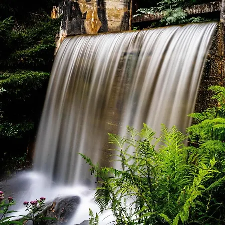 Restaurant Almdiele Appart hôtel